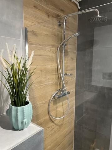 Green Apartment Baltic Residence Побєрово Екстер'єр фото